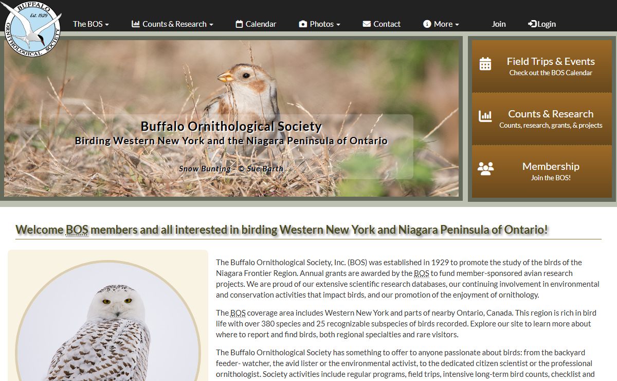 Birds of Western New York & Ontario | BOS | Home