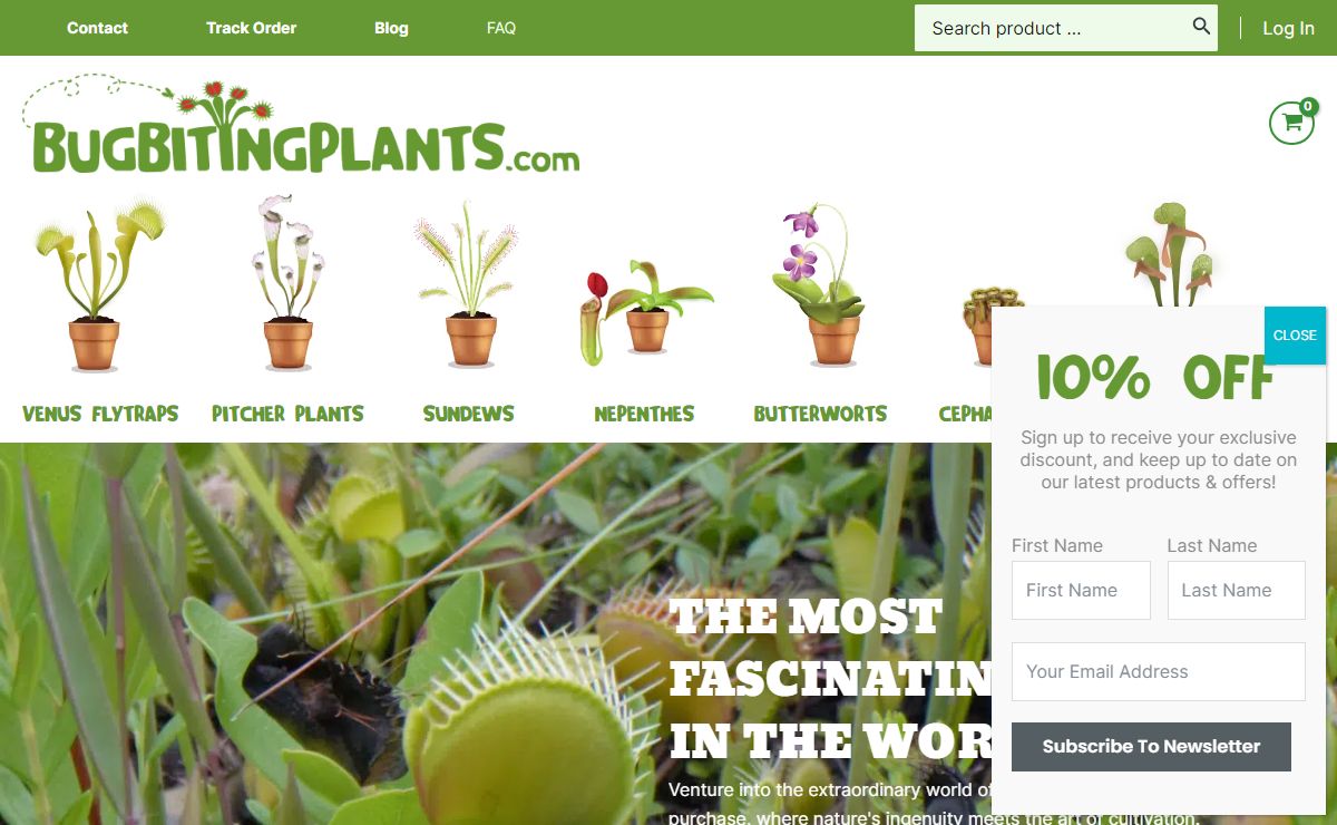 BugBitingPlants.com - BugBitingPlants.com