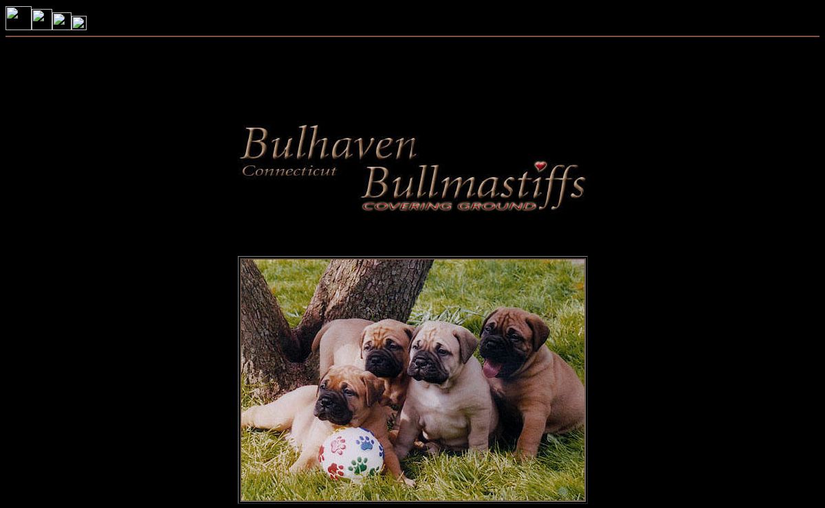 Welcome to Bulhaven Bullmastiffs
