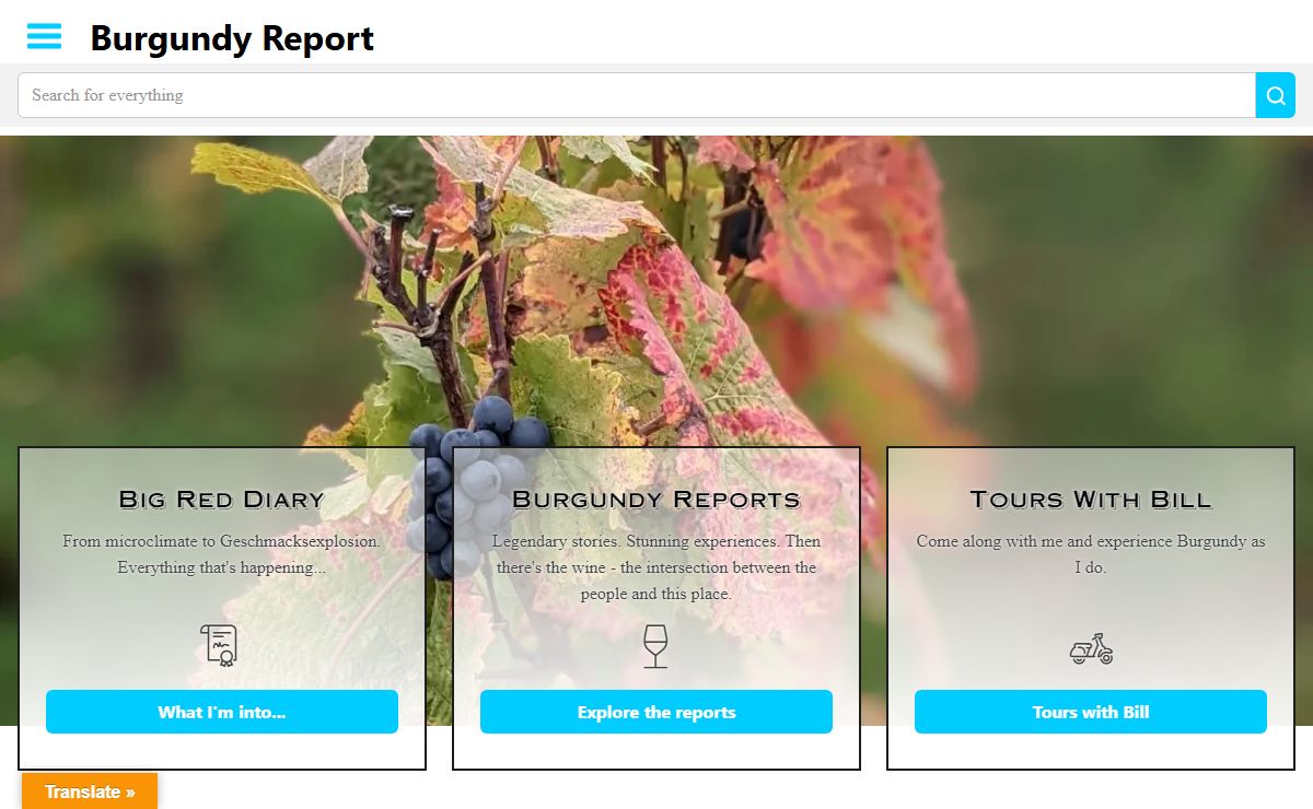 Burgundy-Report – The people, the place, their wines…