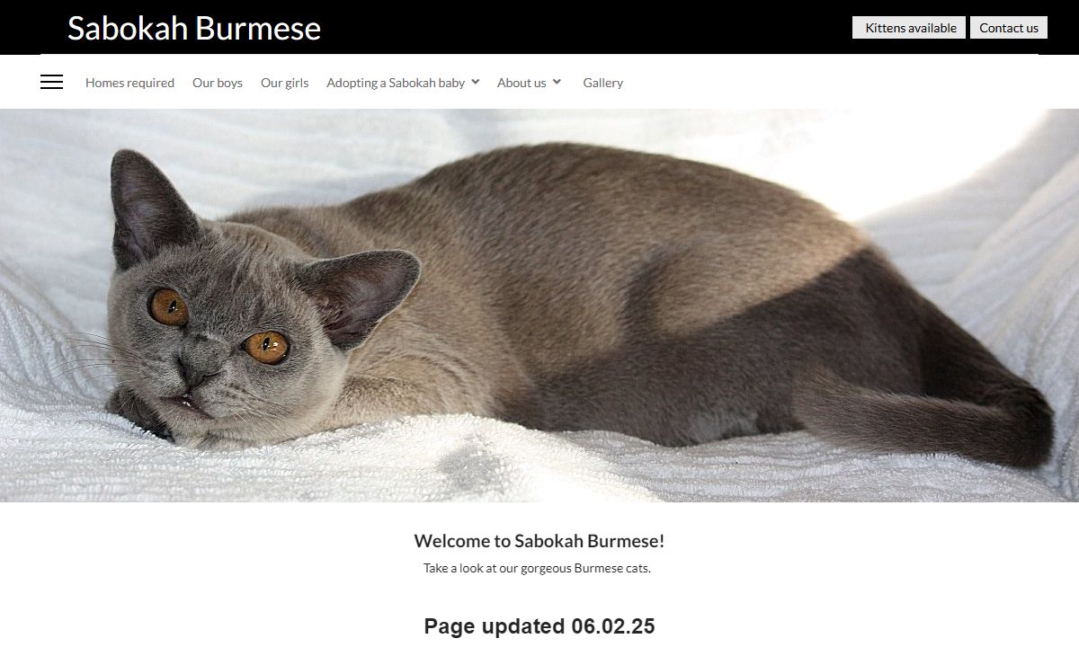 Home - Sabokah Burmese