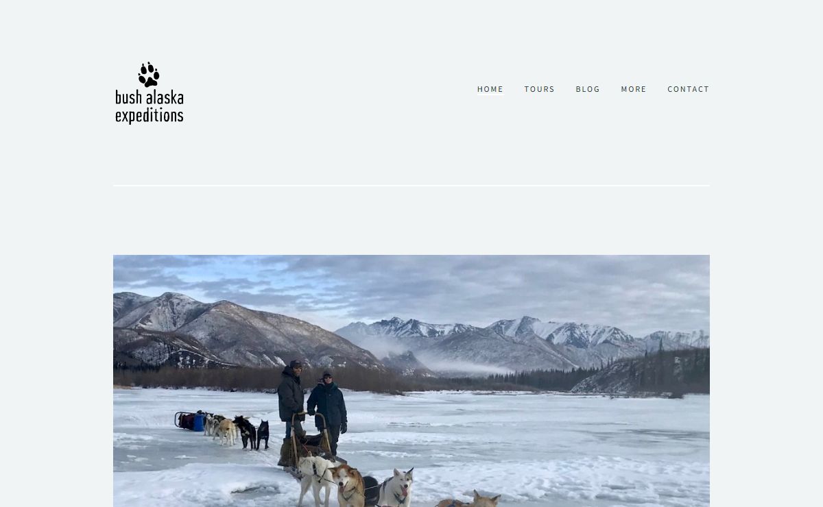 Bush Alaska Expeditions Dog Sled Tours