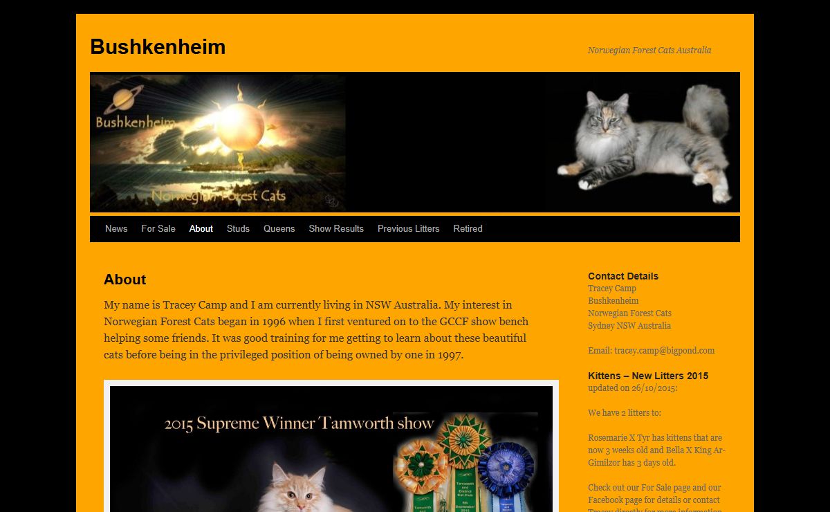 Bushkenheim | Norwegian Forest Cats Australia