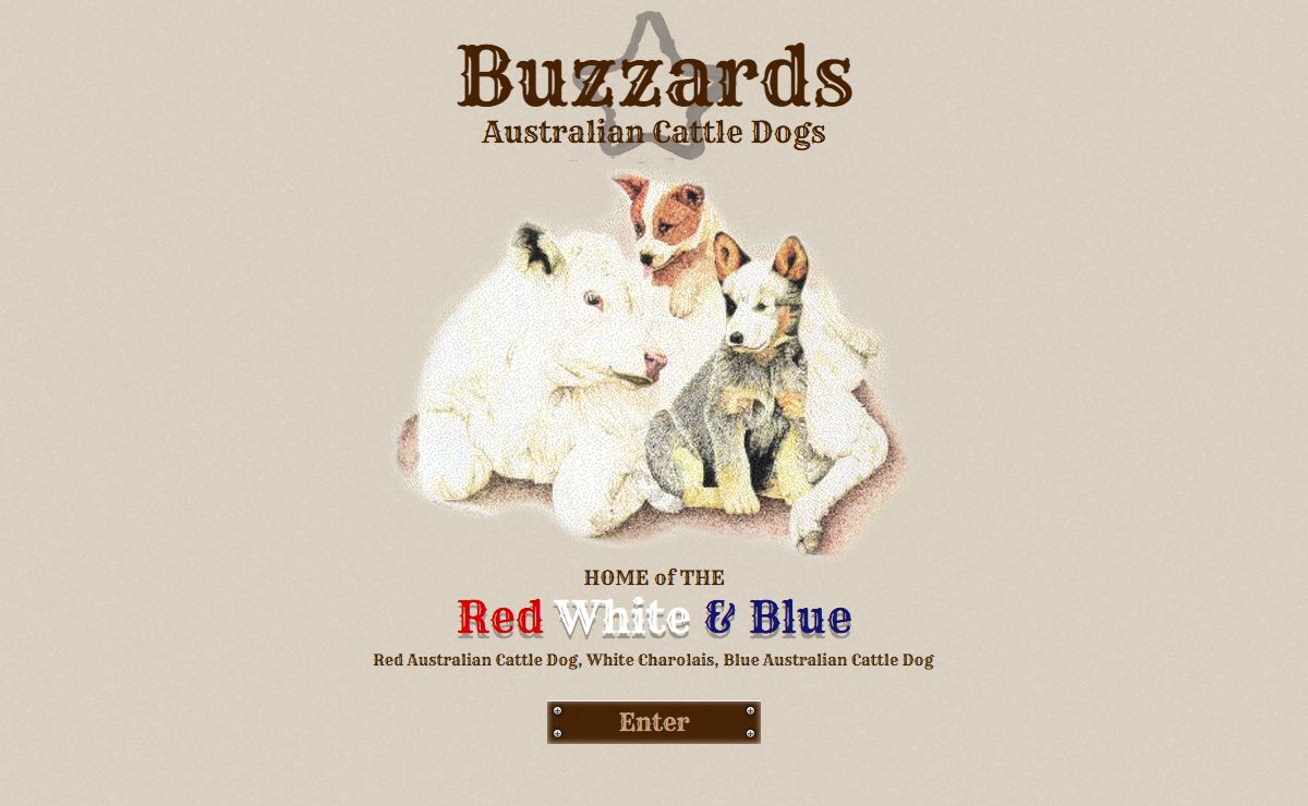 Buzzards Australian Cattle Dogs | Vinita, Oklahoma