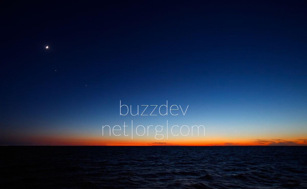 buzzdev.net