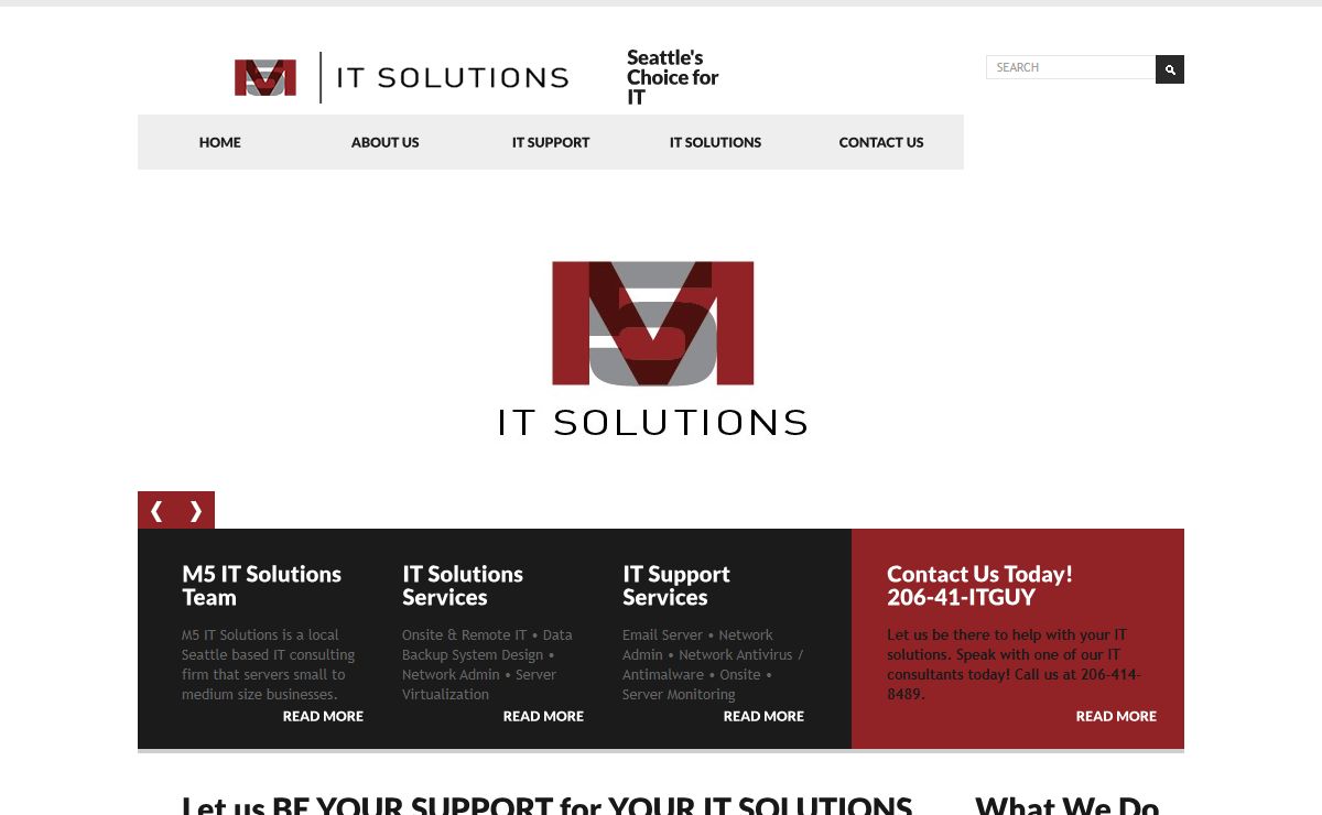 M5 IT Solutions Group