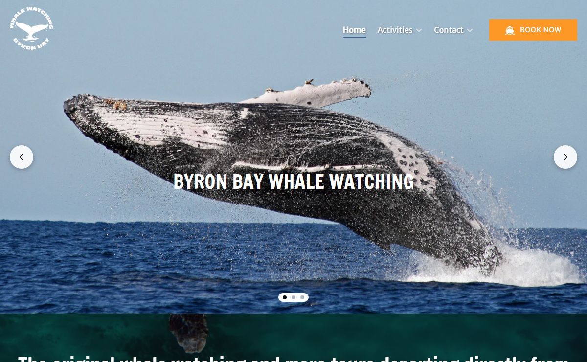 Byron Bay Whale Watching | Snorkelling and turtle school - Byron Bay
