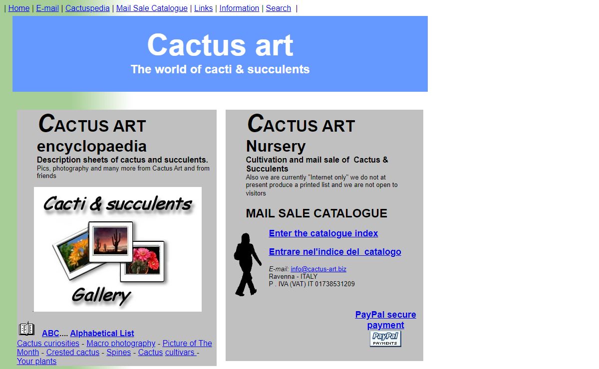 Cactus-art