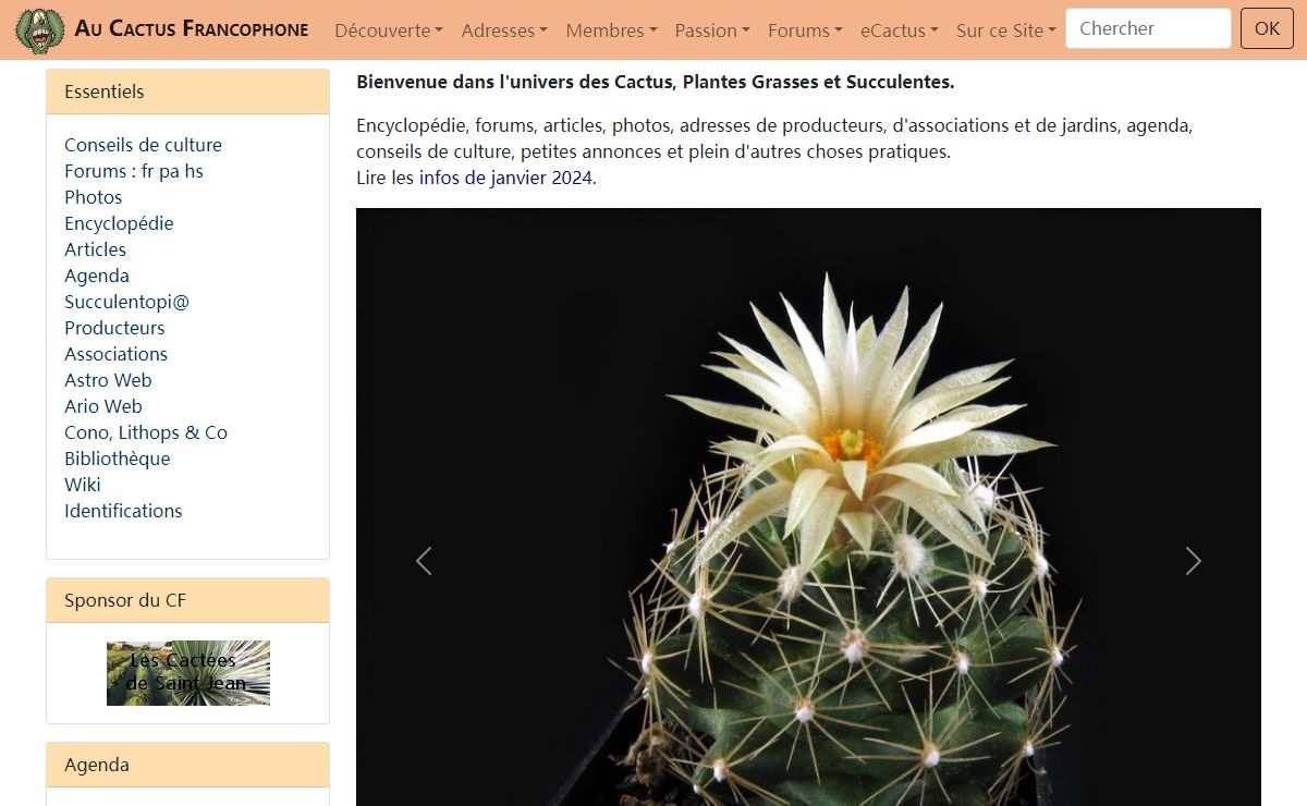 Au Cactus Francophone : Plantes Grasses, Succulentes, Caudex, Euphorbes, Crassulas, Mésembs, ...