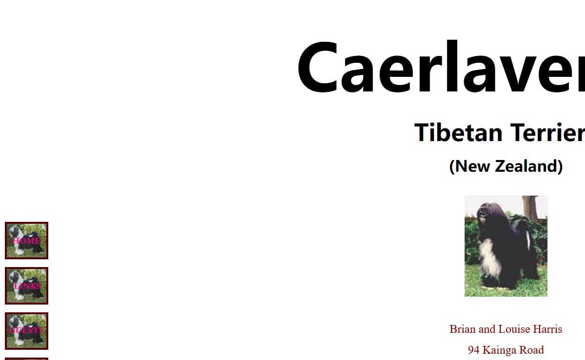 Caerlaverock Tibetan Terriers