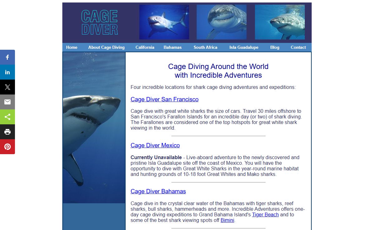 Cage Diver: Dive with Sharks in California, Bahamas, Mexico & South Africa
