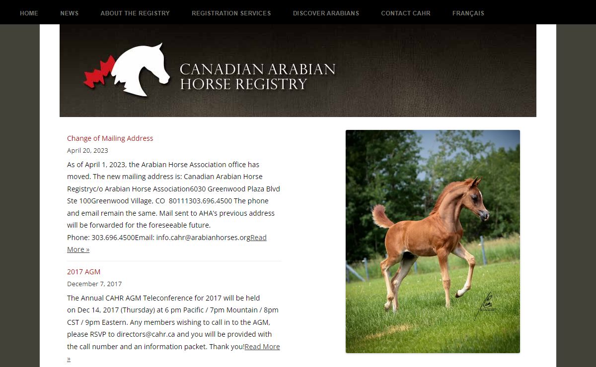 Canadian Arabian Horse Registry | Serving Arabian Horse Owners & Breeders in Canada