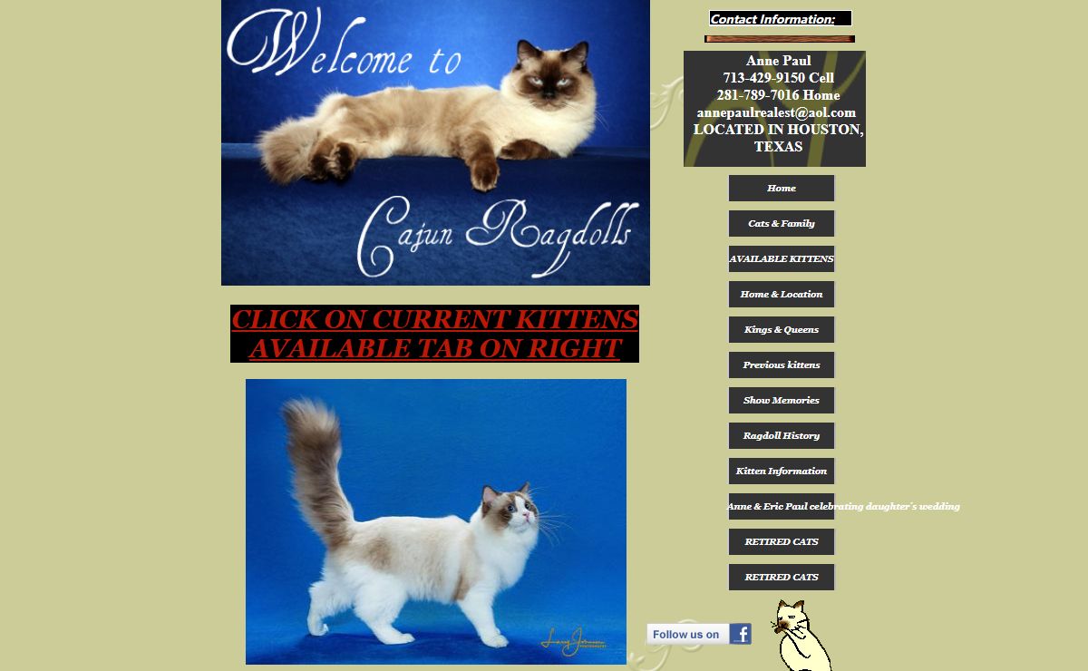 CAJUN RAGDOLLS KITTENS HOUSTON TEXAS
