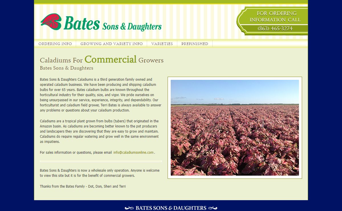 Caladiums Online - Bates Sons and Daughters - High Quality Fancy Leaf Caladium Bulbs