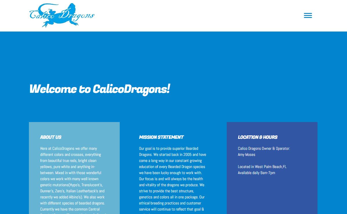 CalicoDragons