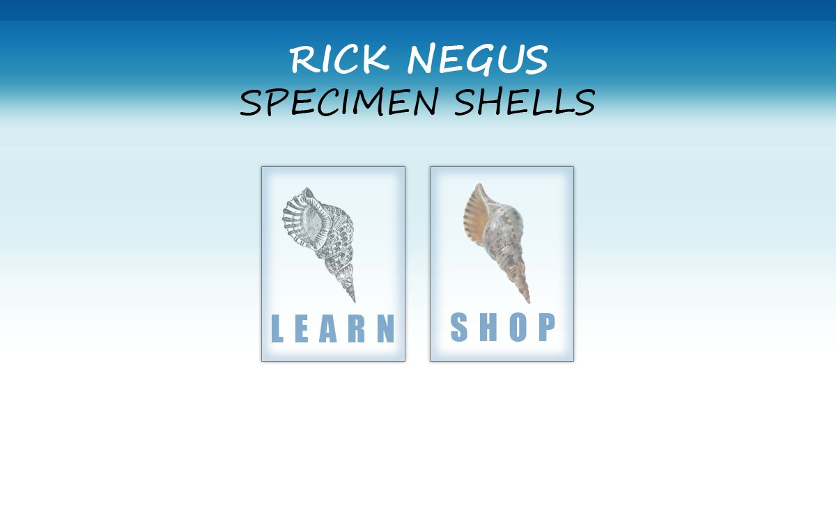 California Shells