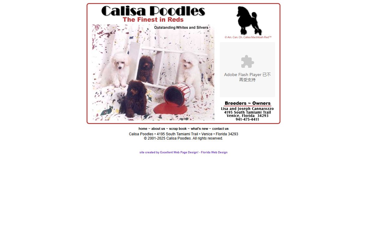 Calisa Poodles - The finest in reds, outstanding whites and silvers