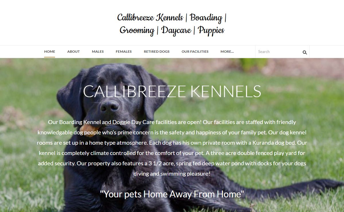 Callibreeze Kennels | Boarding | Grooming | Daycare | Puppies - Home
