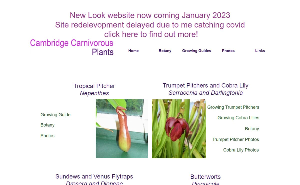 Cambridge Carnivorous Plants