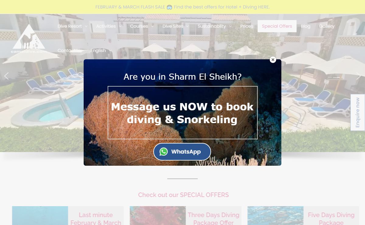 Camel Dive Club & Hotel - Camel Dive Club & Hotel