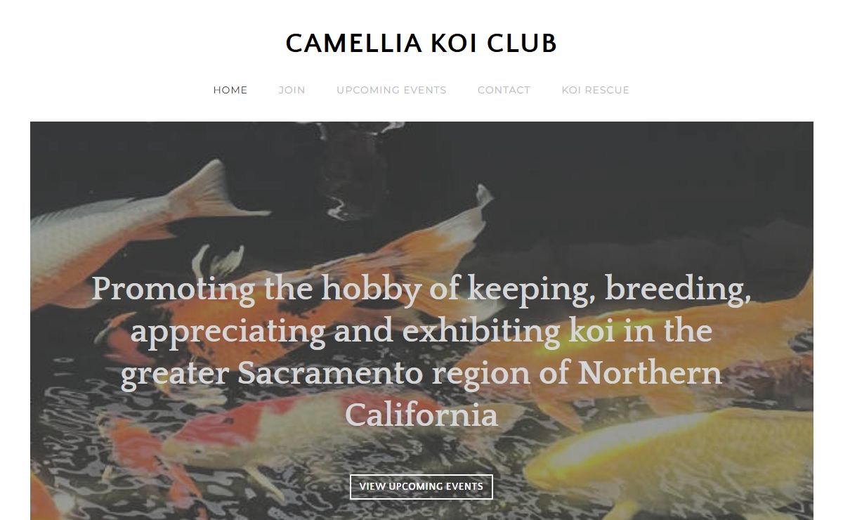 CAMELLIA KOI CLUB - Home
