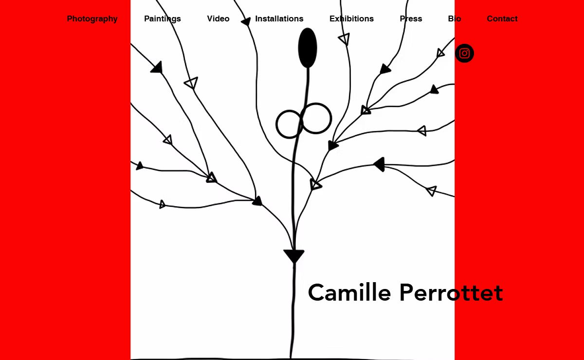 Home | Camille Perrottet