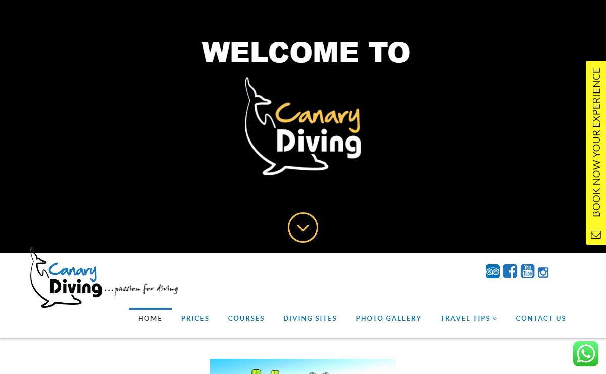 Canary Diving Adventures | The Best Scuba Diving on Gran Canaria