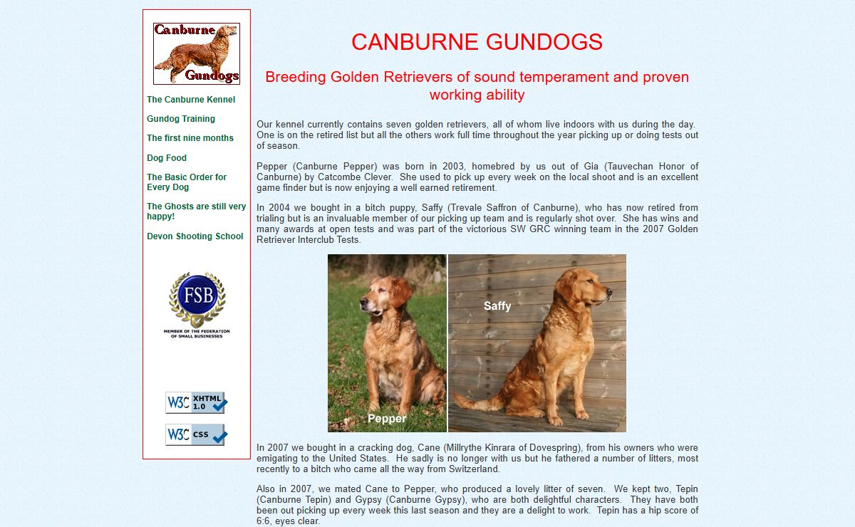 Canburne Gundogs for Golden Retrievers of sound temperament and proven working ability
