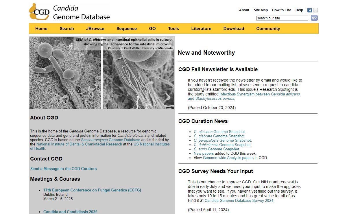 Candida Genome Database