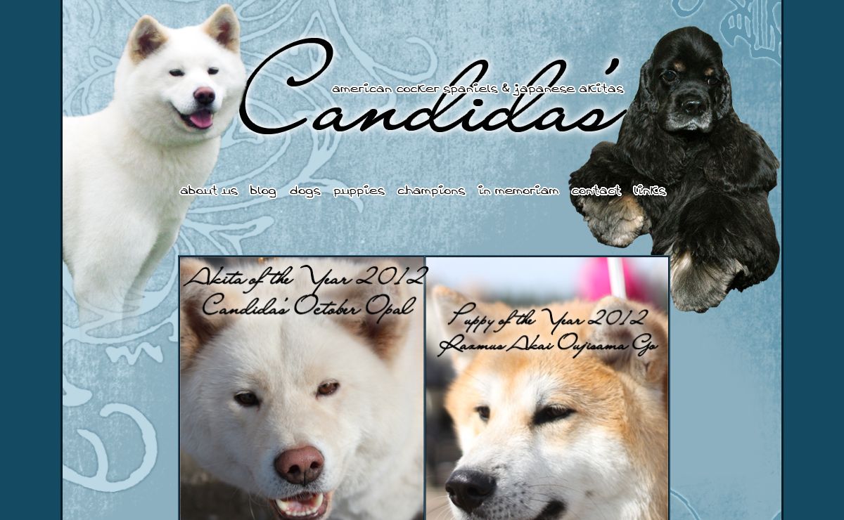 Candida's