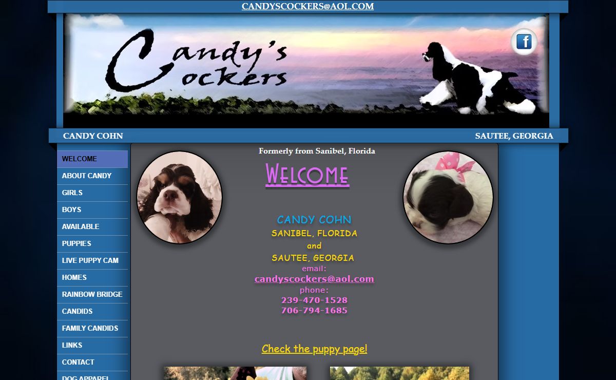 Welcome to Candy's Cockers.