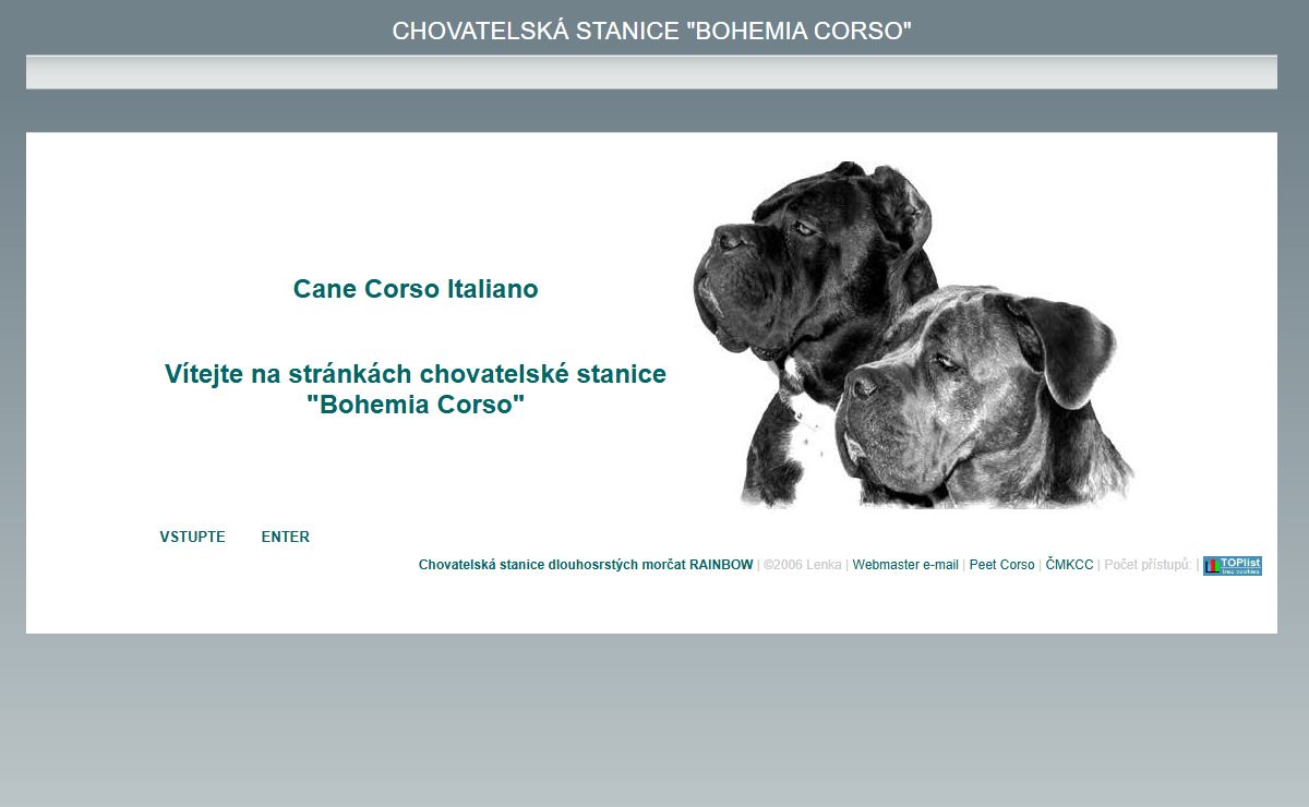 Cane Corso - BohemiaCorso