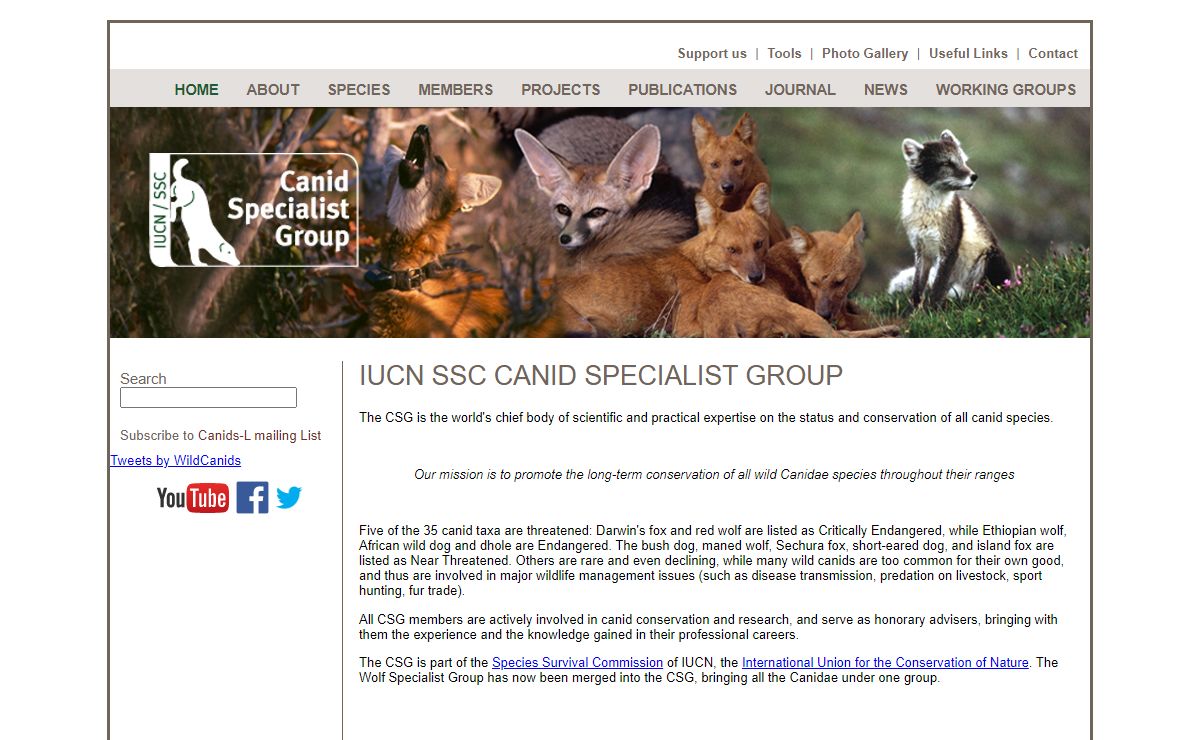 Canids