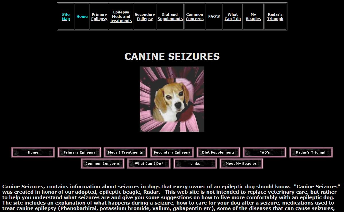 Canine Seizures, Treating Seizures in Dogs