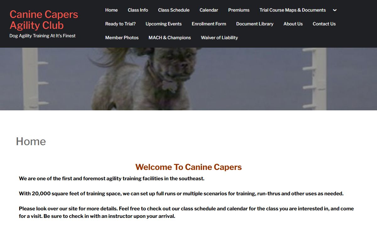 Canine Capers Agility Club – Dog Agility Training At It's Finest