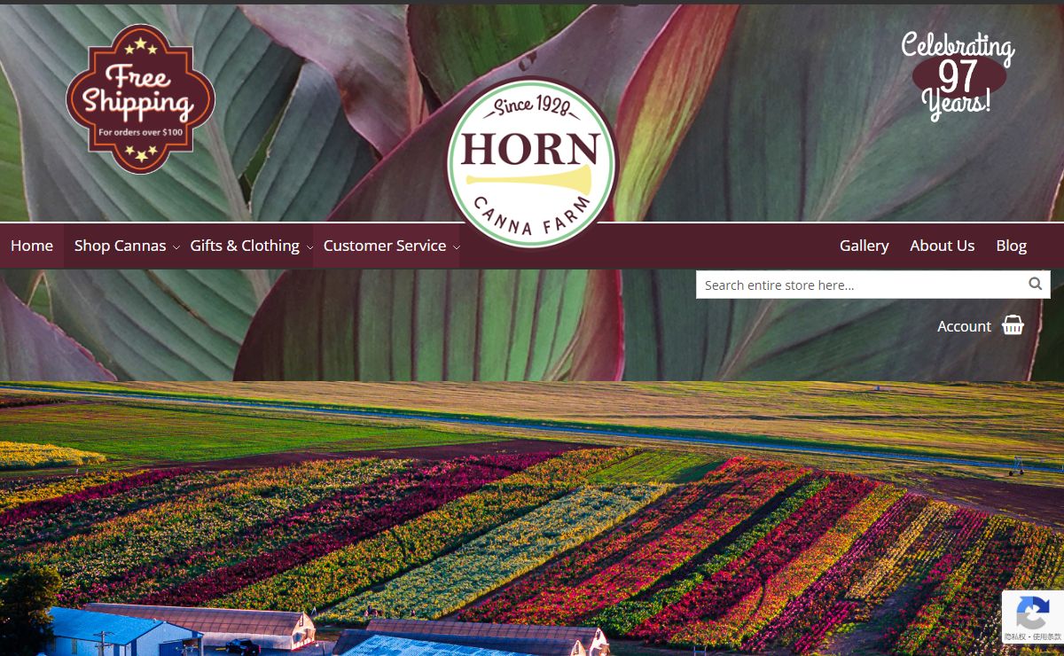 Horn Canna Farm - Buy Cannas Direct from the Grower