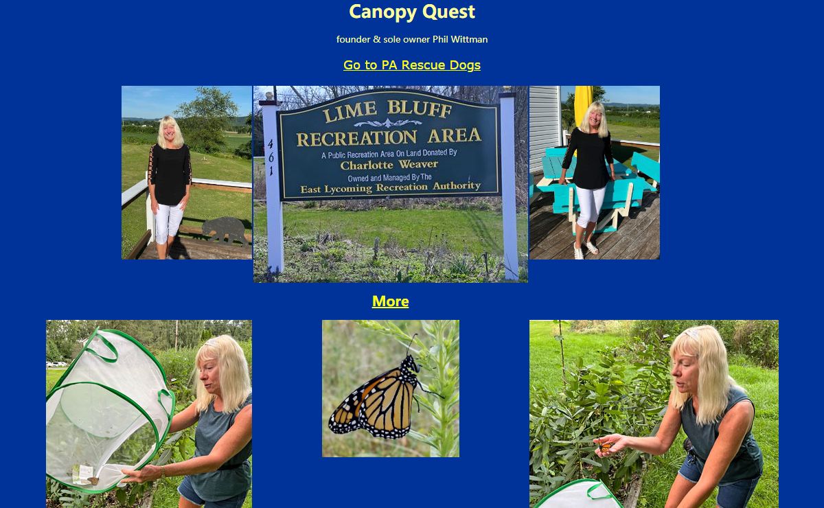 Lime Bluff Monarch