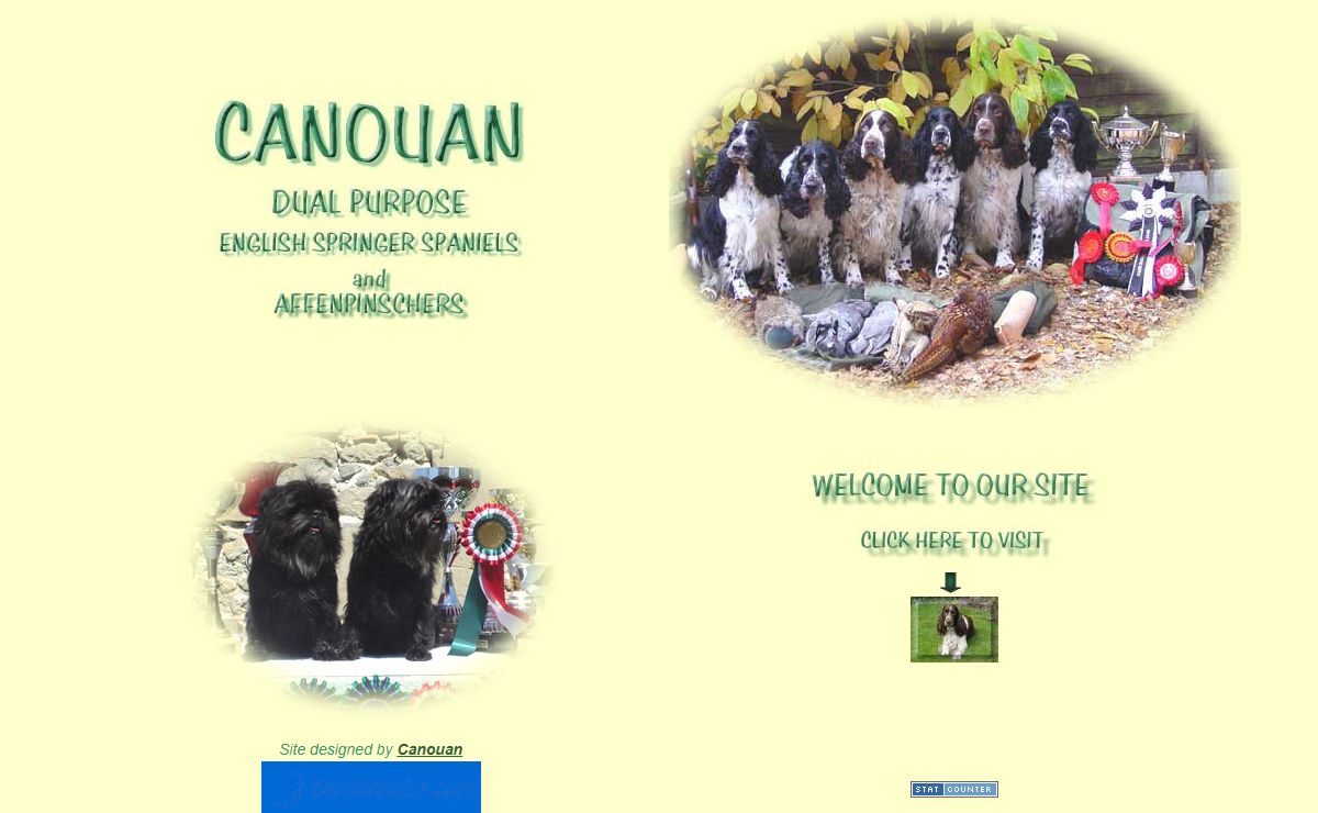 Canouan English Springers and Affenpinschers in France