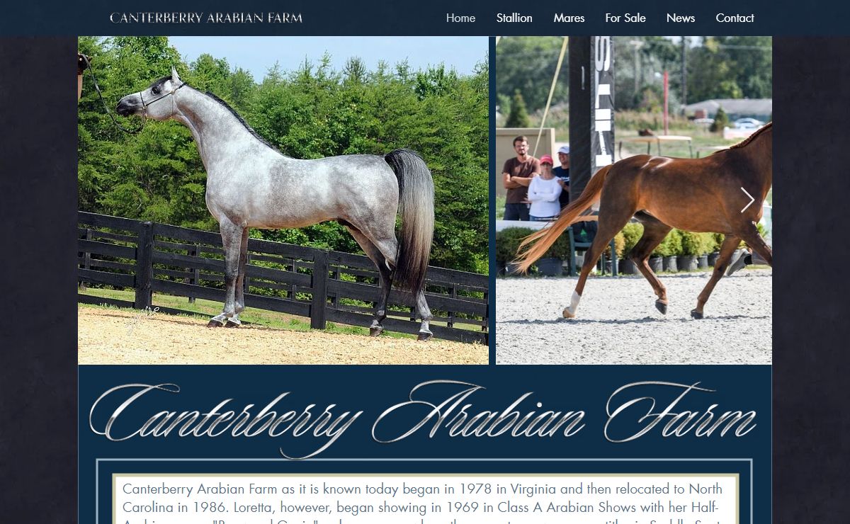 Arabian Horse Breeding Farm | Canterberry Arabian Farm | United States