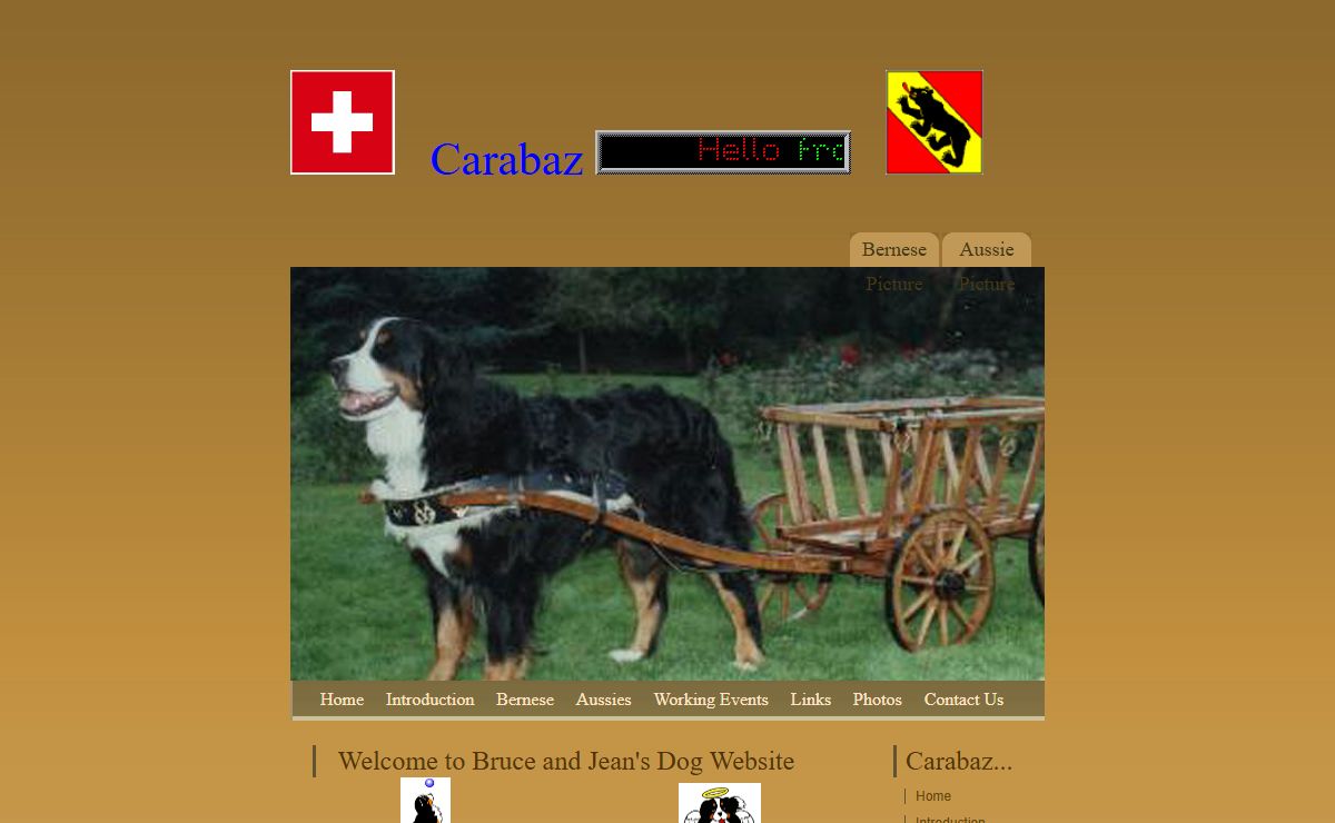 Carabaz Bernese Mountain Dogs and Australian Shepherds
