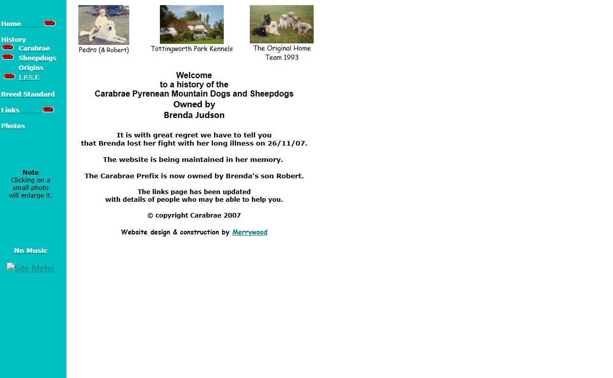 Carabrae Pyrenean Sheepdogs and Mountain Dogs