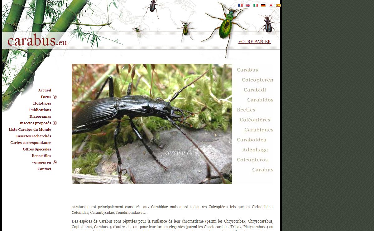 Accueil - Carabus.eu