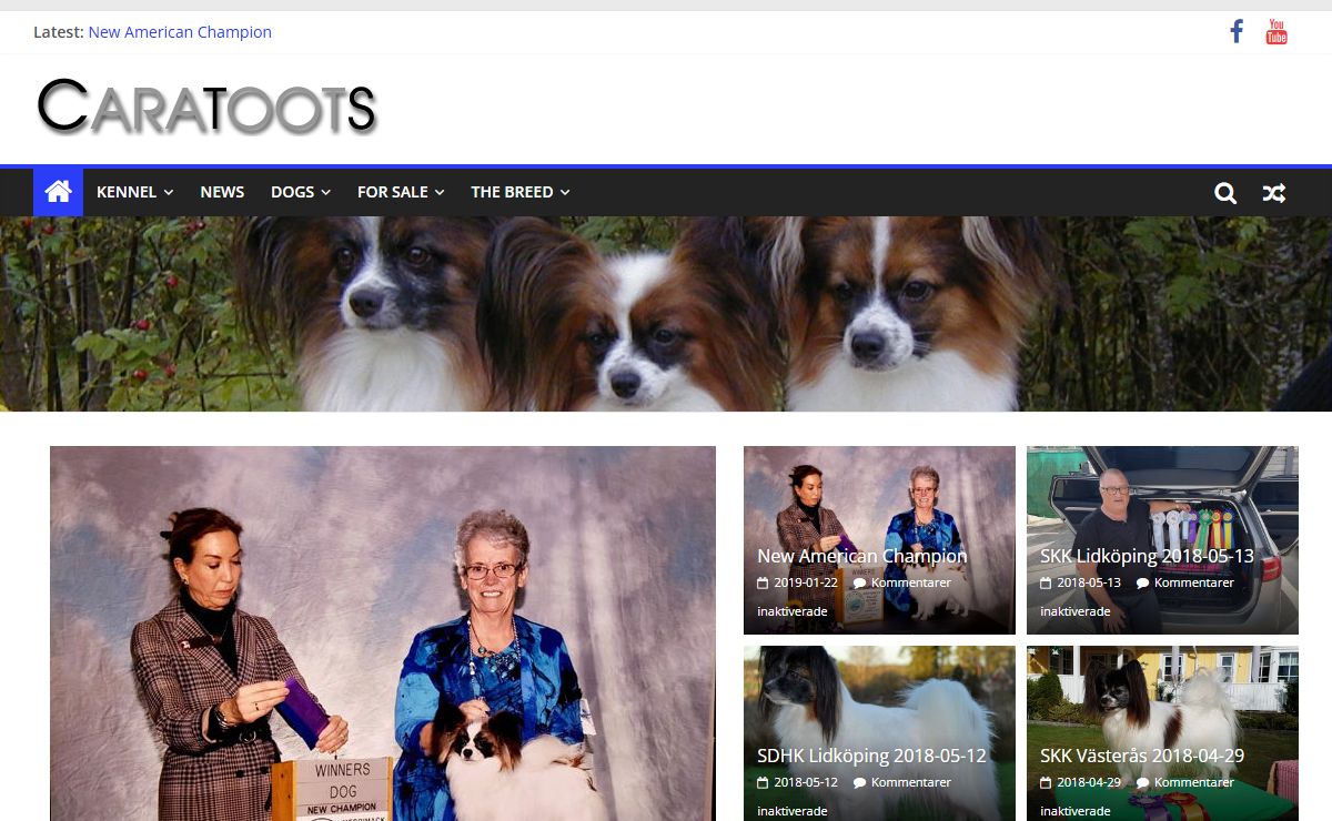 Caratoots – Swedish Papillons