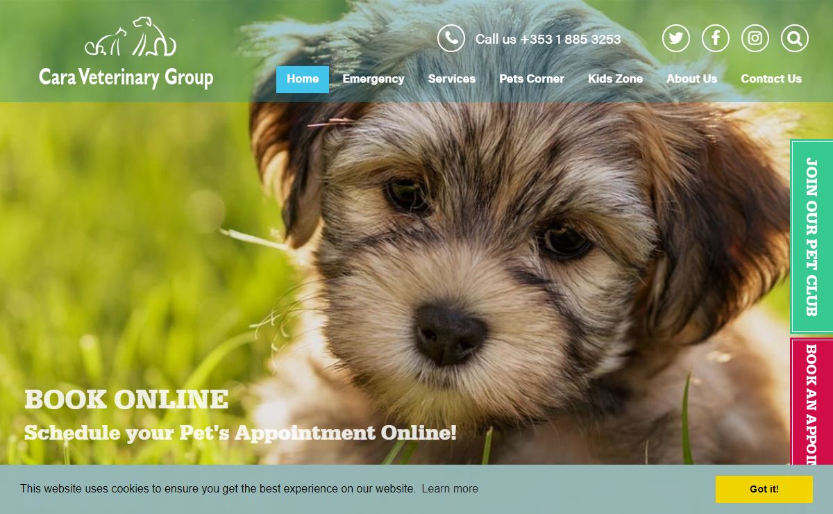 Cara Vet Group: Vets in Dublin 7 & Vets in Blanchardstown