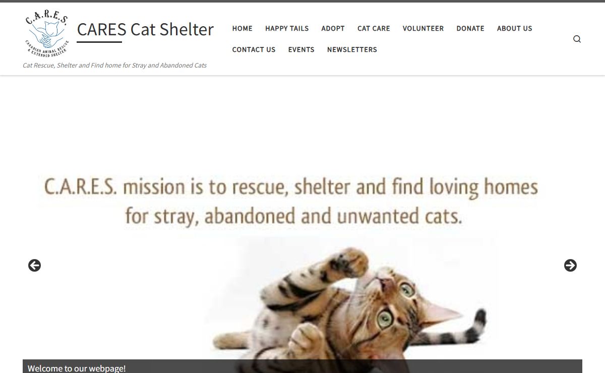 CARES Cat Shelter – Cat Rescue, Shelter and Find home for Stray and Abandoned Cats
