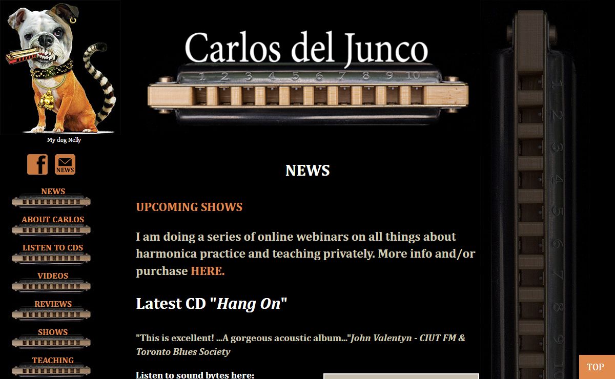 Carlos del Junco, Harmonica