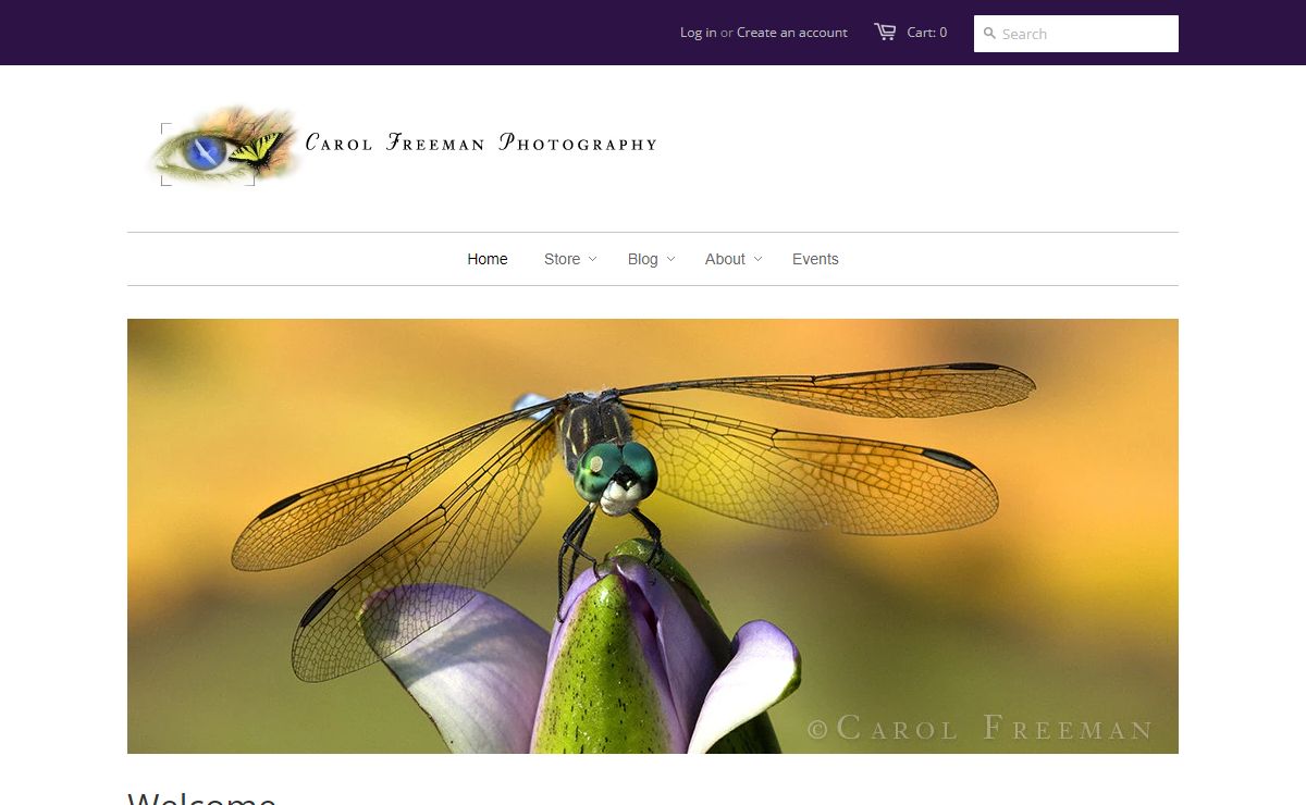 Nature Photography, Nature Calendars, Endangered Species Photography