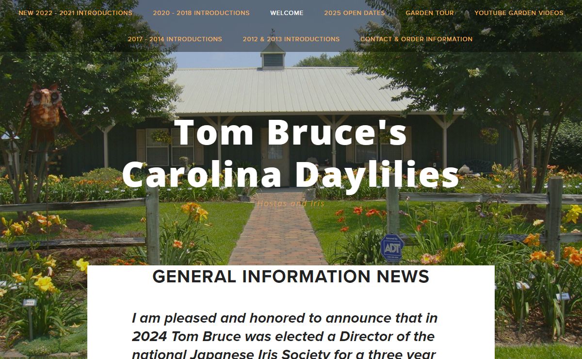Tom Bruce's Carolina Daylilies