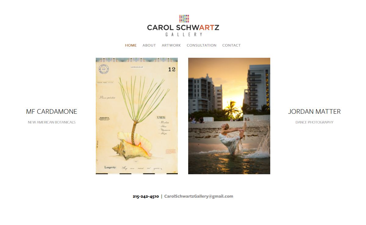 Carol Schwartz Gallery