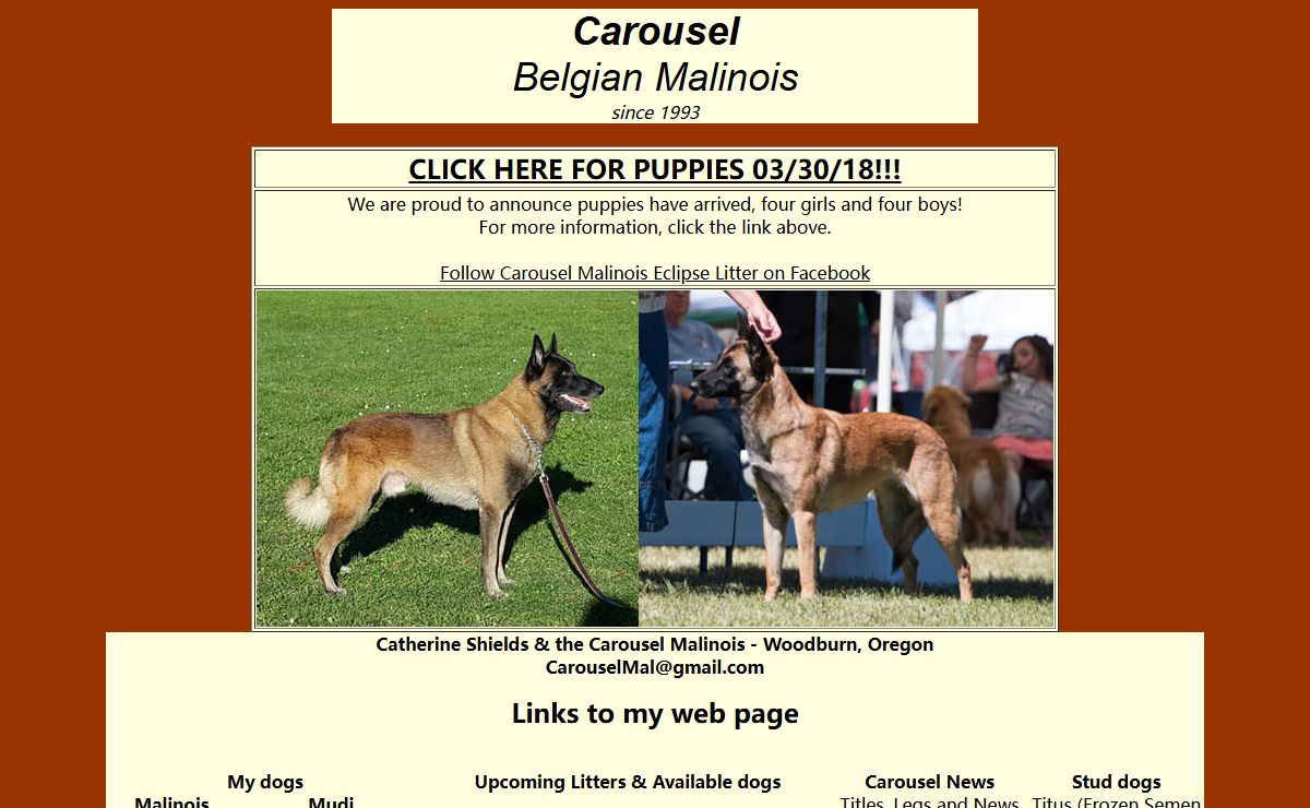 Carousel Belgian Malinois